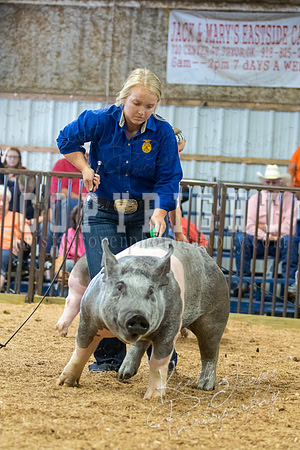 MAYES_COUNTY_FAIR_SWINE_©KTROYER-9721