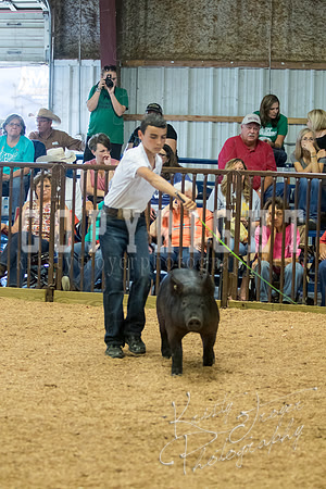 MAYES_COUNTY_FAIR_SWINE_©KTROYER-9722
