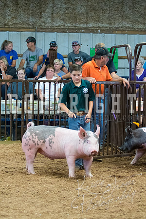 MAYES_COUNTY_FAIR_SWINE_©KTROYER-9725