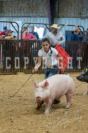 MAYES_COUNTY_FAIR_SWINE_©KTROYER-9726