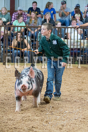 MAYES_COUNTY_FAIR_SWINE_©KTROYER-9731