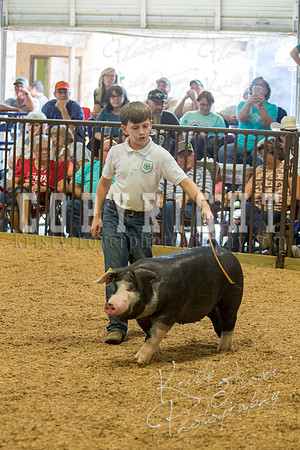 MAYES_COUNTY_FAIR_SWINE_©KTROYER-9735