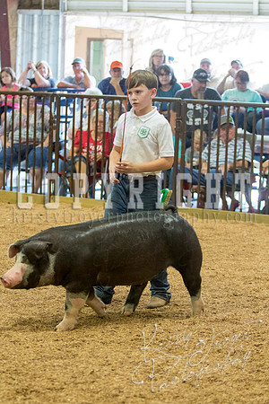 MAYES_COUNTY_FAIR_SWINE_©KTROYER-9736