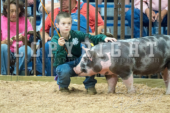 MAYES_COUNTY_FAIR_SWINE_©KTROYER-9737