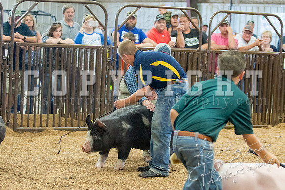 MAYES_COUNTY_FAIR_SWINE_©KTROYER-9740