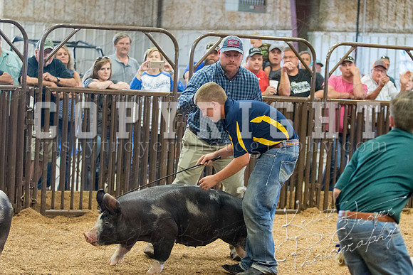 MAYES_COUNTY_FAIR_SWINE_©KTROYER-9741