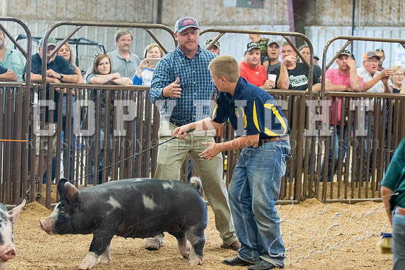MAYES_COUNTY_FAIR_SWINE_©KTROYER-9742