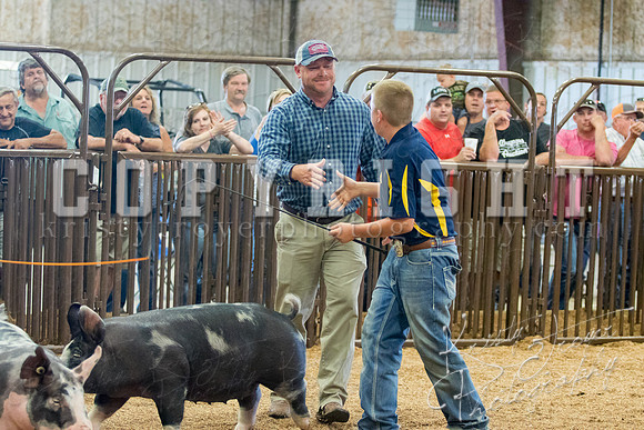 MAYES_COUNTY_FAIR_SWINE_©KTROYER-9743