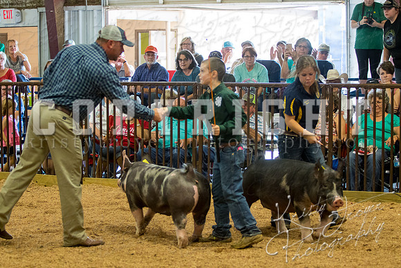 MAYES_COUNTY_FAIR_SWINE_©KTROYER-9745