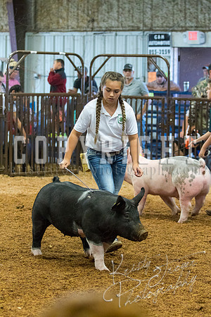 MAYES_COUNTY_FAIR_SWINE_©KTROYER-9359