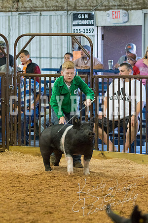 MAYES_COUNTY_FAIR_SWINE_©KTROYER-9360