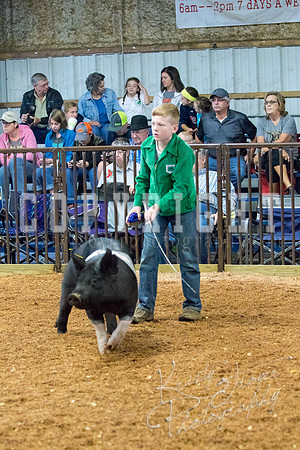 MAYES_COUNTY_FAIR_SWINE_©KTROYER-9361