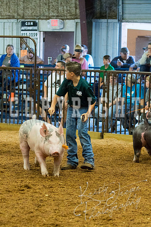 MAYES_COUNTY_FAIR_SWINE_©KTROYER-9362