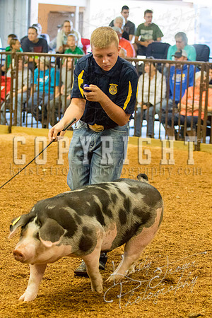 MAYES_COUNTY_FAIR_SWINE_©KTROYER-9364