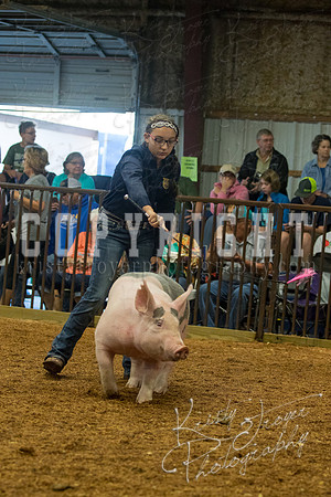 MAYES_COUNTY_FAIR_SWINE_©KTROYER-9365