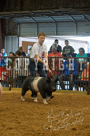 MAYES_COUNTY_FAIR_SWINE_©KTROYER-9367
