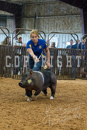 MAYES_COUNTY_FAIR_SWINE_©KTROYER-9371