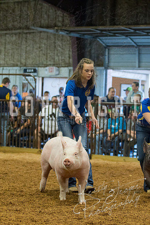 MAYES_COUNTY_FAIR_SWINE_©KTROYER-9374