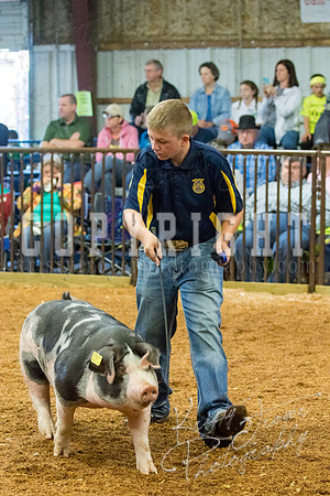 MAYES_COUNTY_FAIR_SWINE_©KTROYER-9376