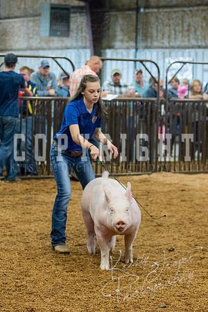 MAYES_COUNTY_FAIR_SWINE_©KTROYER-9379