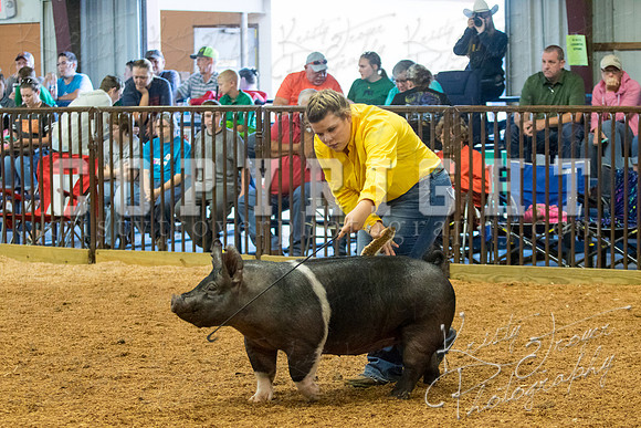 MAYES_COUNTY_FAIR_SWINE_©KTROYER-9382