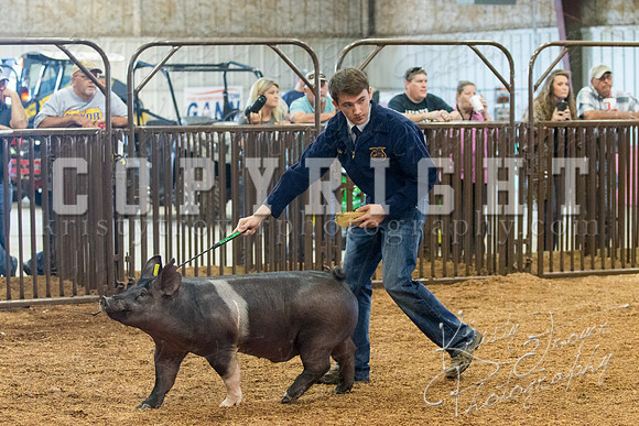 MAYES_COUNTY_FAIR_SWINE_©KTROYER-9383