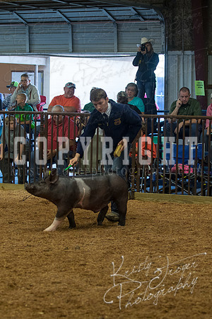 MAYES_COUNTY_FAIR_SWINE_©KTROYER-9385