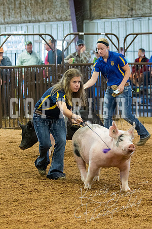 MAYES_COUNTY_FAIR_SWINE_©KTROYER-9386