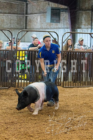 MAYES_COUNTY_FAIR_SWINE_©KTROYER-9387
