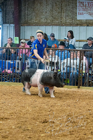 MAYES_COUNTY_FAIR_SWINE_©KTROYER-9389