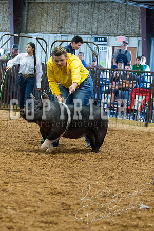 MAYES_COUNTY_FAIR_SWINE_©KTROYER-9391