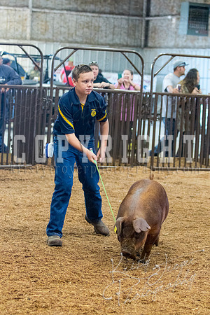 MAYES_COUNTY_FAIR_SWINE_©KTROYER-9394