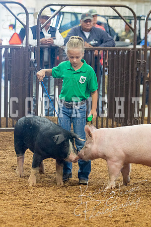 MAYES_COUNTY_FAIR_SWINE_©KTROYER-9396