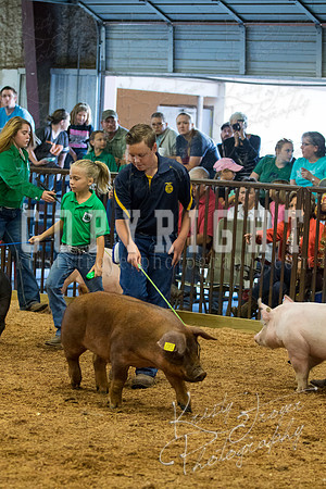 MAYES_COUNTY_FAIR_SWINE_©KTROYER-9397