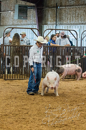 MAYES_COUNTY_FAIR_SWINE_©KTROYER-9398