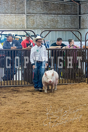 MAYES_COUNTY_FAIR_SWINE_©KTROYER-9399
