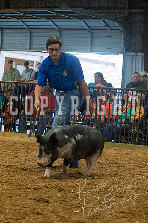 MAYES_COUNTY_FAIR_SWINE_©KTROYER-9400
