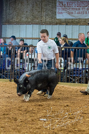 MAYES_COUNTY_FAIR_SWINE_©KTROYER-9401