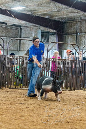 MAYES_COUNTY_FAIR_SWINE_©KTROYER-9402