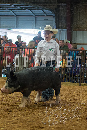 MAYES_COUNTY_FAIR_SWINE_©KTROYER-9404
