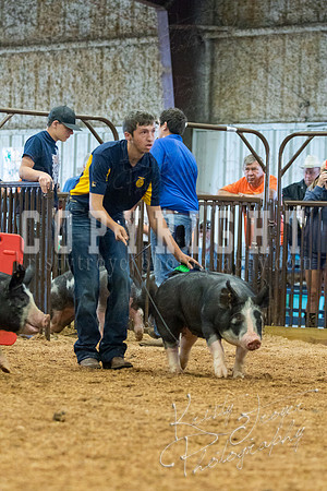MAYES_COUNTY_FAIR_SWINE_©KTROYER-9405