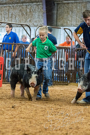 MAYES_COUNTY_FAIR_SWINE_©KTROYER-9406