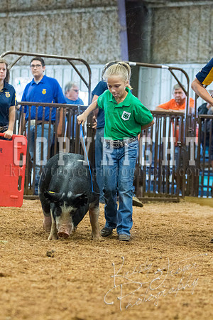 MAYES_COUNTY_FAIR_SWINE_©KTROYER-9407