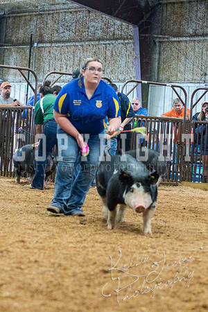 MAYES_COUNTY_FAIR_SWINE_©KTROYER-9408