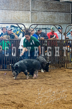 MAYES_COUNTY_FAIR_SWINE_©KTROYER-9409