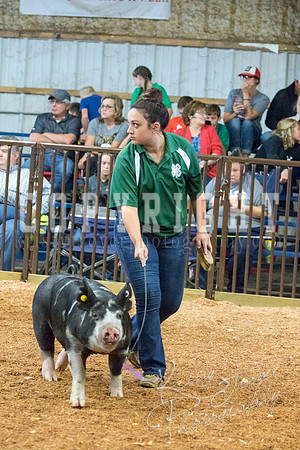 MAYES_COUNTY_FAIR_SWINE_©KTROYER-9410