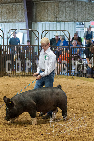 MAYES_COUNTY_FAIR_SWINE_©KTROYER-9411