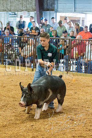 MAYES_COUNTY_FAIR_SWINE_©KTROYER-9412