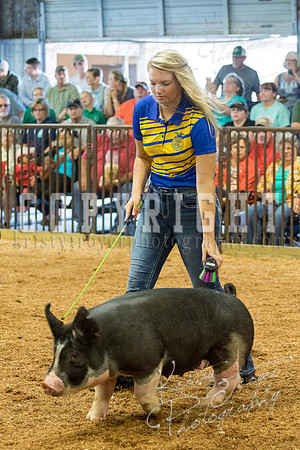 MAYES_COUNTY_FAIR_SWINE_©KTROYER-9413