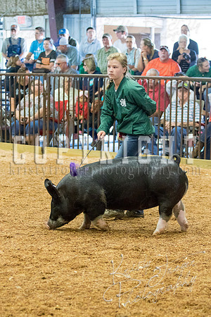 MAYES_COUNTY_FAIR_SWINE_©KTROYER-9414